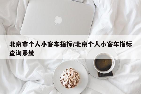 北京市个人小客车指标/北京个人小客车指标查询系统